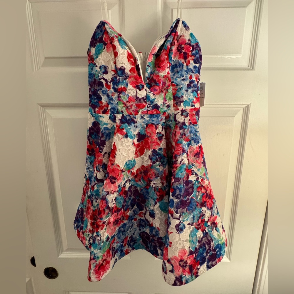 Windsor Dress. Brand New!!!!!